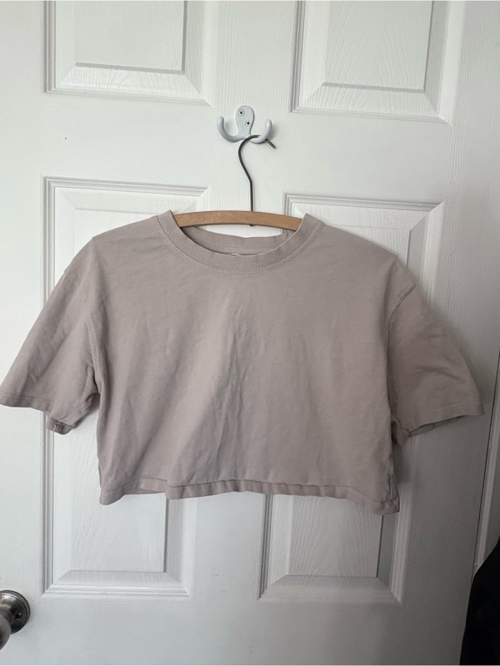 Zara Neutral Taupe Crop Tee - Short Sleeve